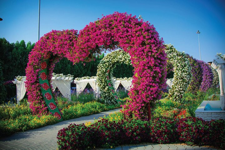 Marvel at the stunning floral arches and diverse plant life making each moment a delightful journey through nature's beauty in the picturesque Miracle Garden Dubai.
